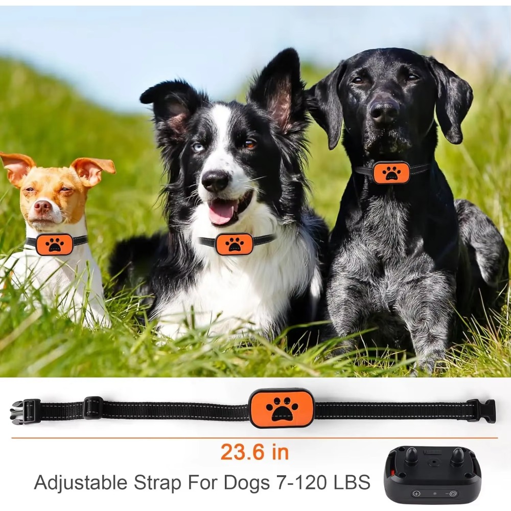 반려견 짖음 방지 장치, 전기 개 훈련 목걸이, USB - Barking Dog Alarm 리뷰 및 가격